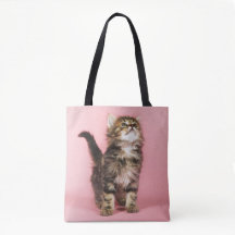 ピンクの子ネコでかわいらしい