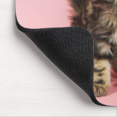 ピンクの子ネコでかわいらしい マウスパッド (コーナー)