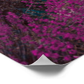 ピンクの尖弁花畑 ポスター (角)