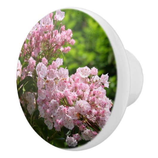 ピンクの山シャクナゲの花 セラミックノブ (右)