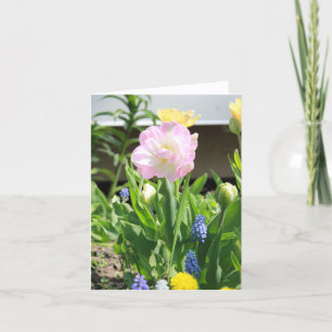 ピンクの庭の母の日の花 シーズンカード