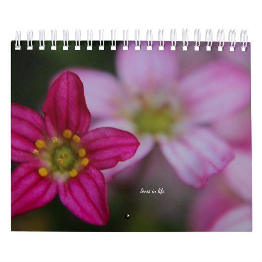 ピンクの庭の花 カレンダー (カバー)