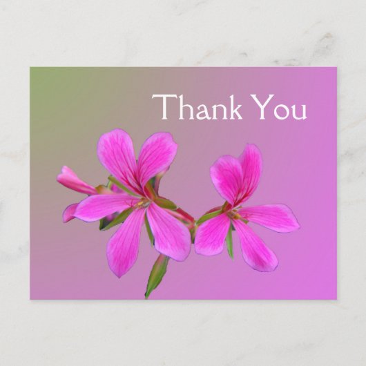 ピンクの庭感謝していの花葉書。 ポストカード (正面)