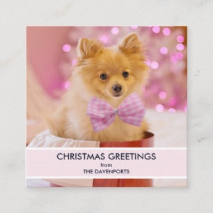 ピンクの弓のクリスマスフォトと可愛い犬 スクエア名刺