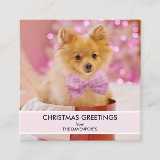 ピンクの弓のクリスマスフォトと可愛い犬 スクエア名刺 (正面)