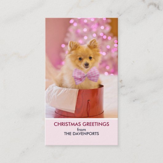 ピンクの弓のクリスマスフォトと可愛い犬 名刺 (正面)