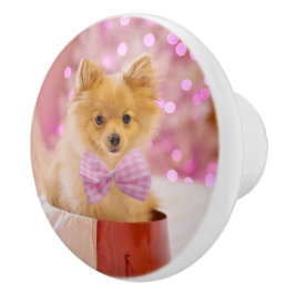 ピンクの弓のクリスマス写真を飾ったかわいい犬 セラミックノブ