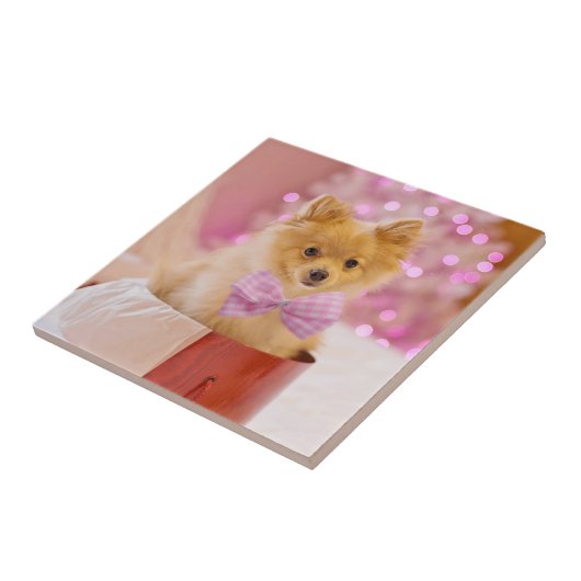ピンクの弓のクリスマス写真を飾ったかわいい犬 タイル (側面)