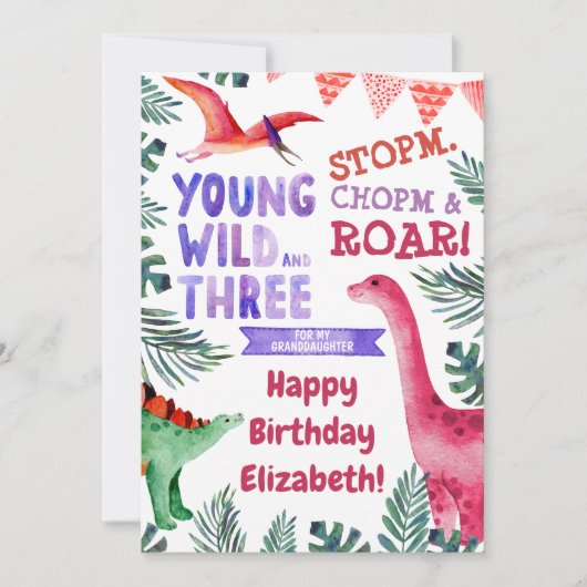 ピンクの恐竜の若い野生と3歳の誕生日 (正面)