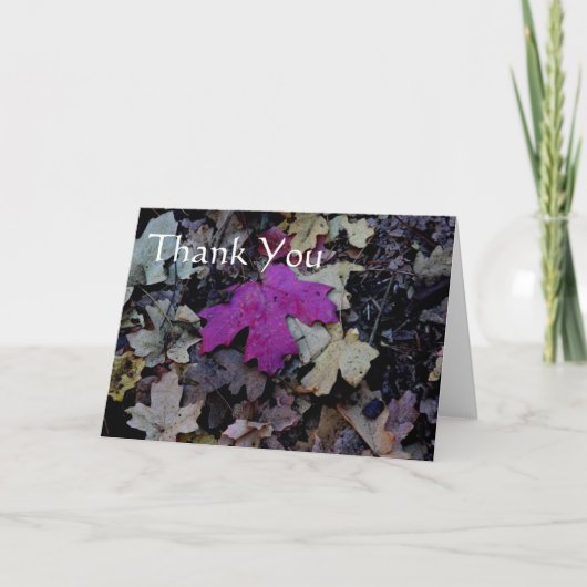 ピンクの感謝してい葉よ サンキューカード (正面)