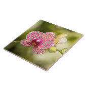 ピンクの斑点のあるラン タイル (側面)