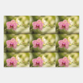 ピンクの斑点のあるラン ラッピングペーパーシート (正面2)