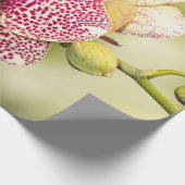 ピンクの斑点のあるラン ラッピングペーパー (角)