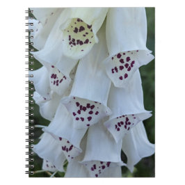ピンクの斑点のある白いジギタリスの花 ノートブック