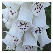 ピンクの斑点のある白いジギタリス 花 タイル (正面)