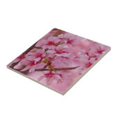 ピンクの日本のさくらんぼ花瓦に浸かる タイル (側面)