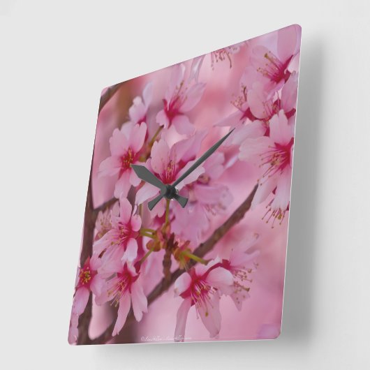 ピンクの日本のさくらんぼ スクエア壁時計 (傾斜)