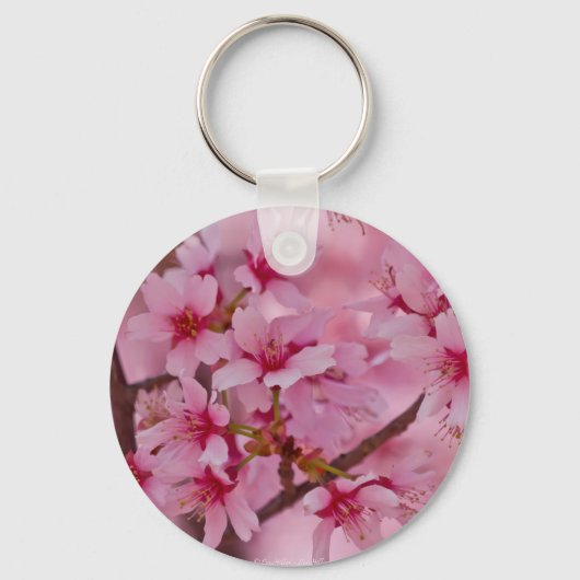 ピンクの日本の桜に包まれて キーホルダー (正面)