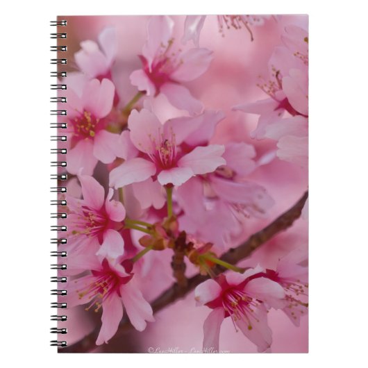 ピンクの日本の桜に包まれて ノートブック (正面)