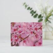 ピンクの日本の桜に包まれて ポストカード (スタンド正面)