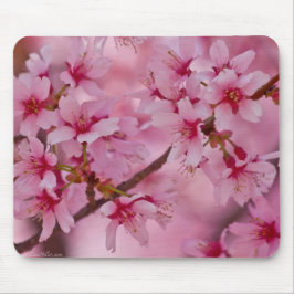 ピンクの日本の桜に包まれて マウスパッド