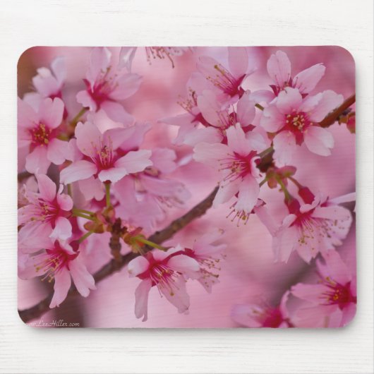 ピンクの日本の桜に包まれて マウスパッド (正面)