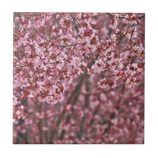 ピンクの日本の桜の花びらの重なりタイル タイル (正面)