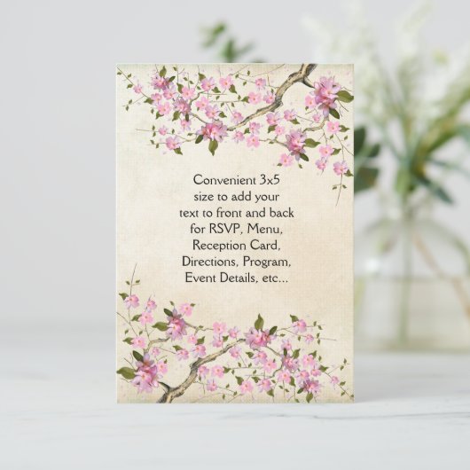 ピンクの日本桜の結婚式 (スタンド正面)