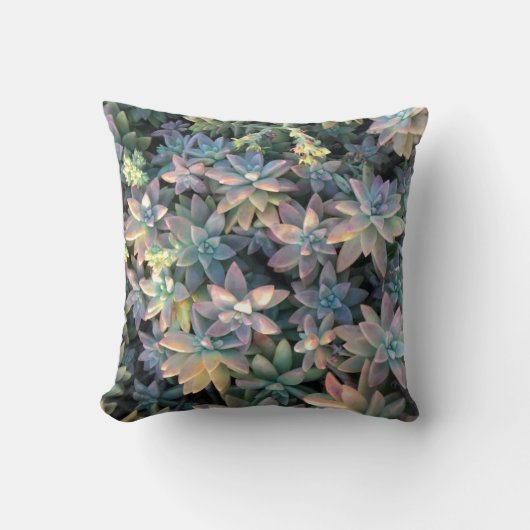 ピンクの星明かりのサボテンの植物、および緑は装飾します クッション (正面)