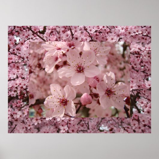 ピンクの春の木の花のプリント ブルームアート ポスター (正面)