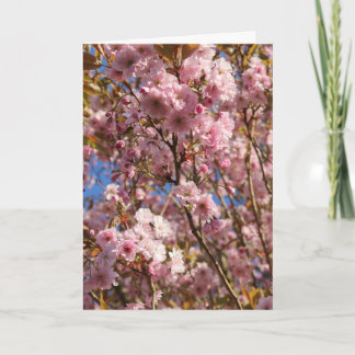 ピンクの春の桜 カード