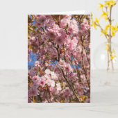 ピンクの春の桜 カード (黄色い花)