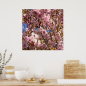 ピンクの春の桜 ポスター (キッチン)