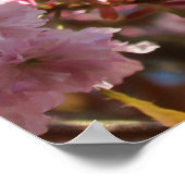 ピンクの春の桜 ポスター (角)