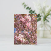 ピンクの春の桜 ポストカード (スタンド正面)