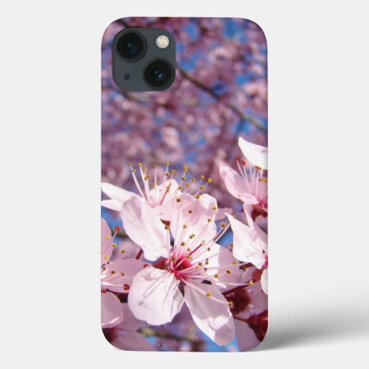 ピンクの春の花の木の花が咲くiPAD 2/3/4ケース Case-Mate iPhoneケース (裏面)