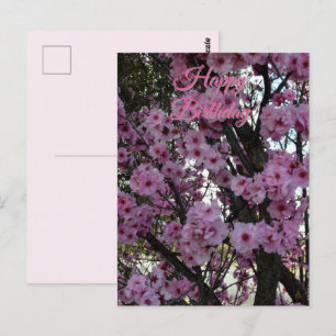 ピンクの春の花の木, 誕生日のポストカード ポストカード