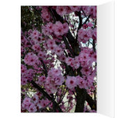 ピンクの春の花の木、誕生日カード (内側 (左))
