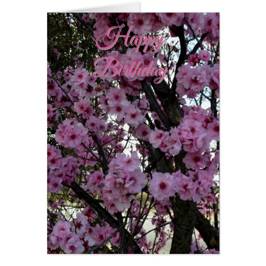 ピンクの春の花の木、誕生日カード (正面)