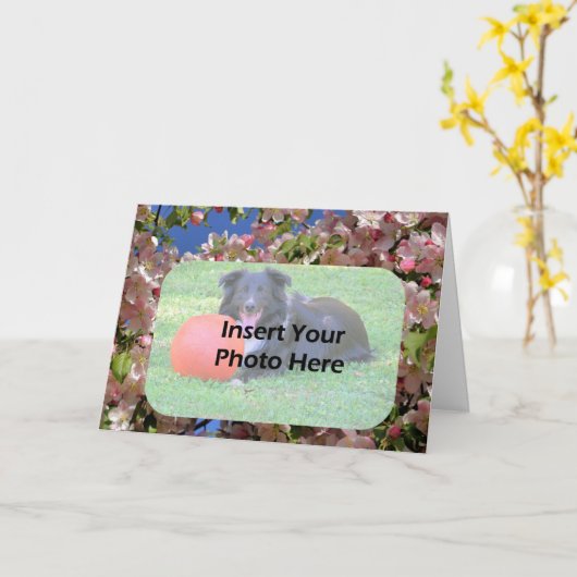 ピンクの春の花 フレーム 写真 カード (黄色い花)