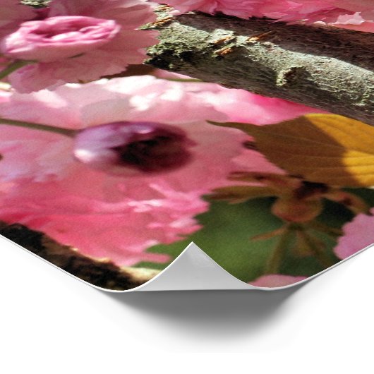 ピンクの春の花 ポスター (角)