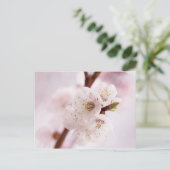 ピンクの春の花 ポストカード (スタンド正面)
