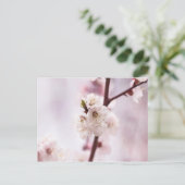 ピンクの春の花 ポストカード (スタンド正面)