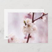 ピンクの春の花 ポストカード (正面/裏面)
