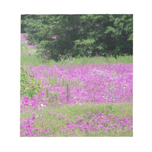 ピンクの春の野花の野原 ノートパッド (正面)