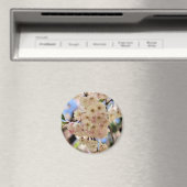 ピンクの春は磁石花の活気付きます マグネット (インサイチュ (食洗機))