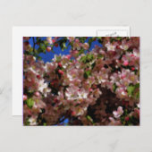 ピンクの春は郵便はがき花の活気付きます ポストカード (正面/裏面)