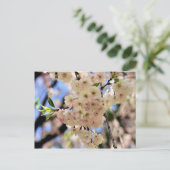 ピンクの春は郵便はがき花の活気付きます ポストカード (スタンド正面)