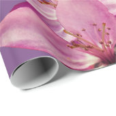 ピンクの春花ズギフト紙 ラッピングペーパー (ロールコーナー)