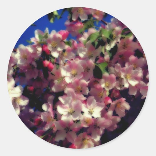 ピンクの春花 ラウンドシール (正面)